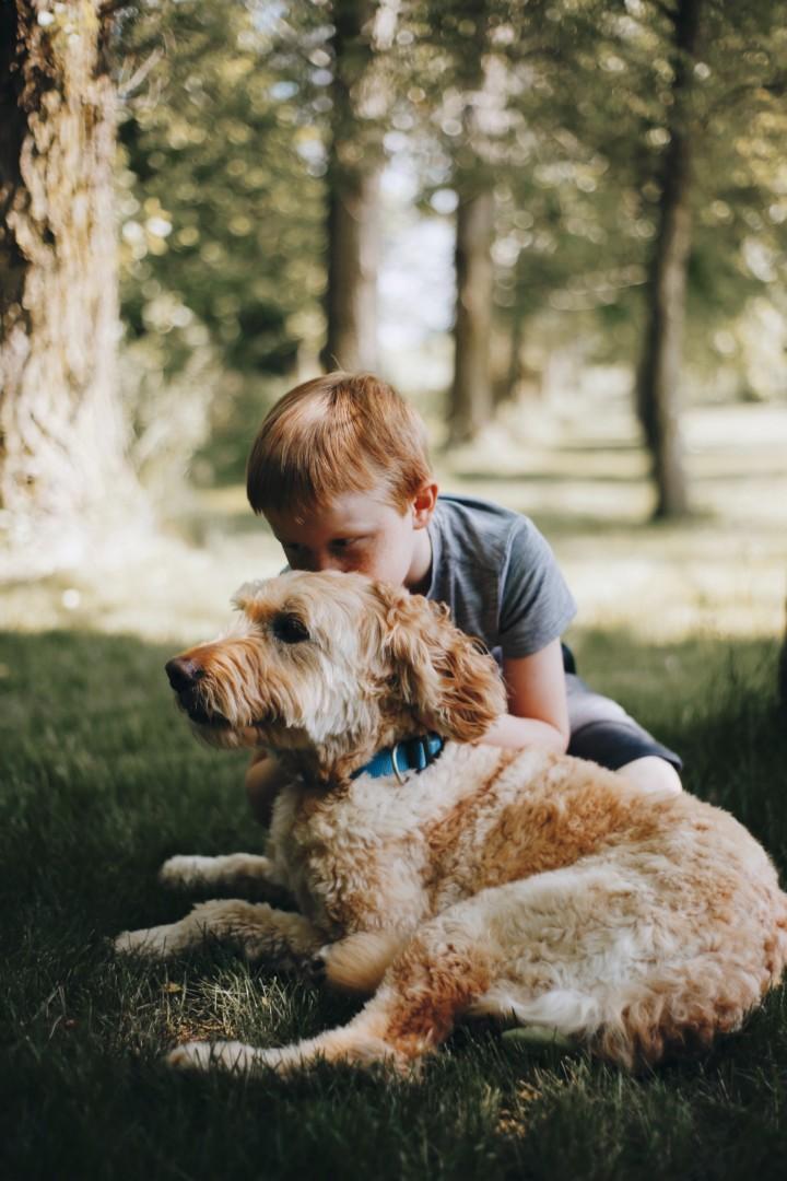 Lapsi koiran kanssa